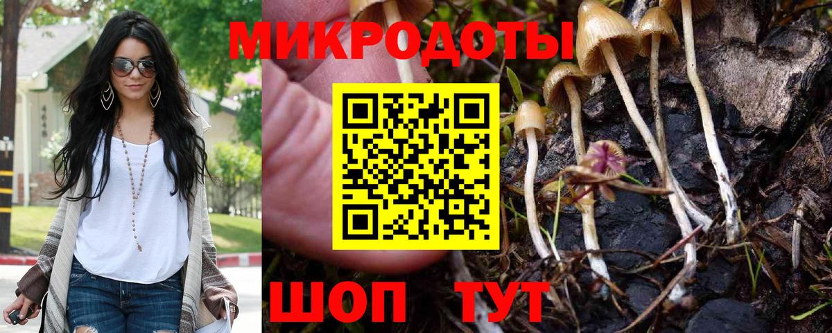 Псилоцибиновые грибы Cubensis  Вход с VPN  Кыштым 