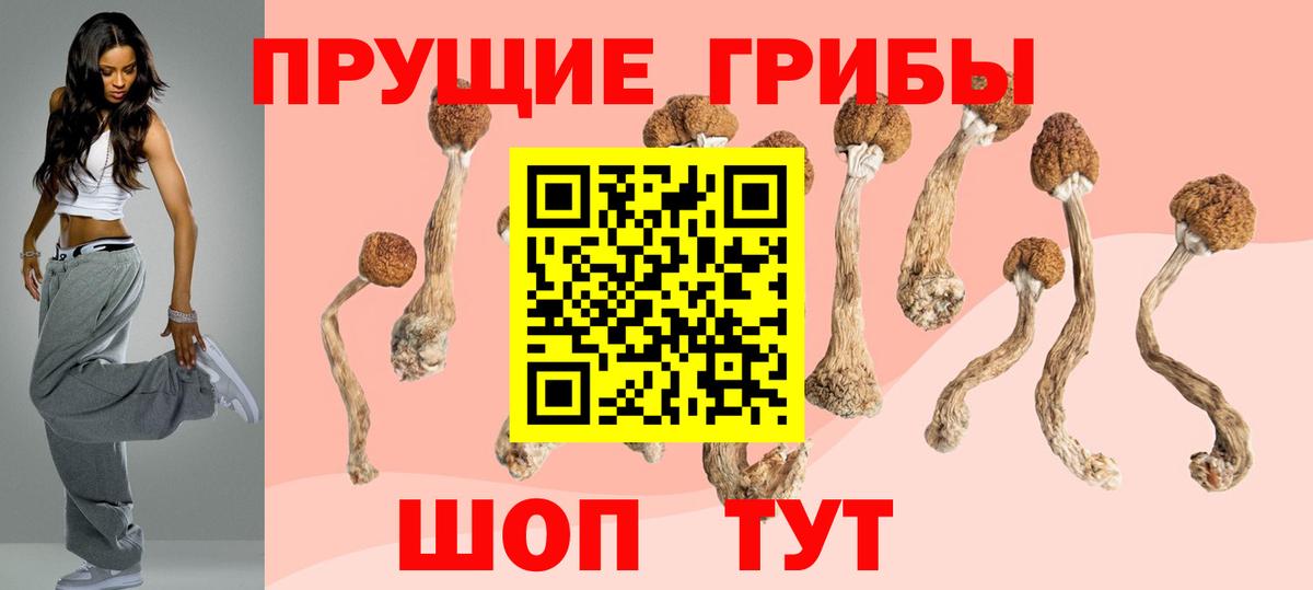 Псилоцибиновые грибы Psilocybe Кыштым